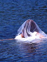 Beautiful women of a certain age show off their skills.