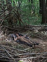 In Forest Cradle with Apple